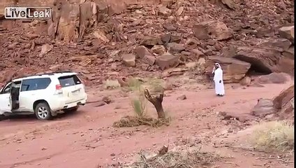 Mère Nature se venge de deux hommes qui essayent d'arracher un vieil arbre