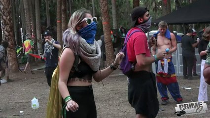 01.Sunrise Rave in a Jungle - Okeechobee