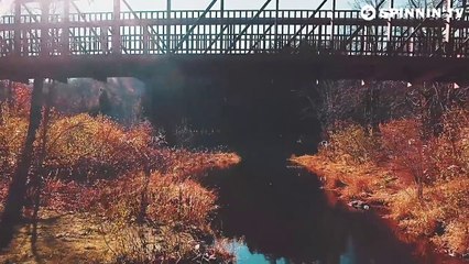 Two Friends ft. Cosmos & Creature - Out of Love (Official Lyric Video) (1)