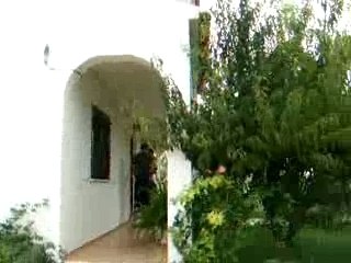 MDR JIMMY ET CES VIEILLES BASKETTE