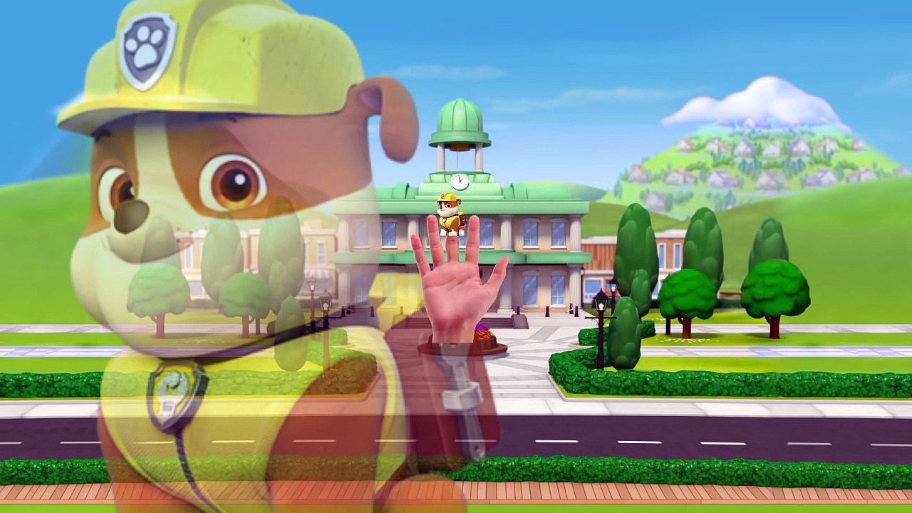 Little Baby Paw Patrol Finger Family Songs - Daddy Finger Family Nursery Rhymes - Panda Ki