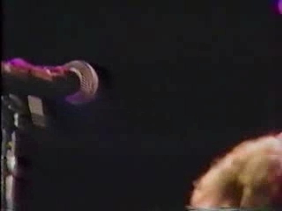 The Who - Born On The Bayou 1989