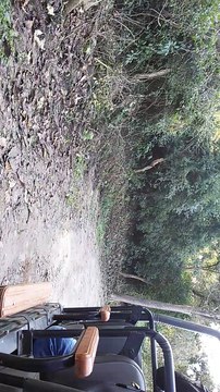 wildlife videos || tiger videos || Jim corbett national park || uttrakhand || india