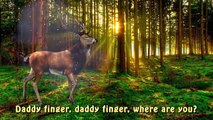 Finger Familly Daddy Finger Deer Forest Animal | Bambi Cartoon | Nursery Rhymes For Children