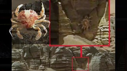 Gotcha NASA!!! ufo sightings alien woman & creepy crawlers on mars