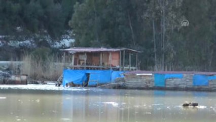 Sular Altında Kalan Çiftlikte Tavuklar Telef Oldu
