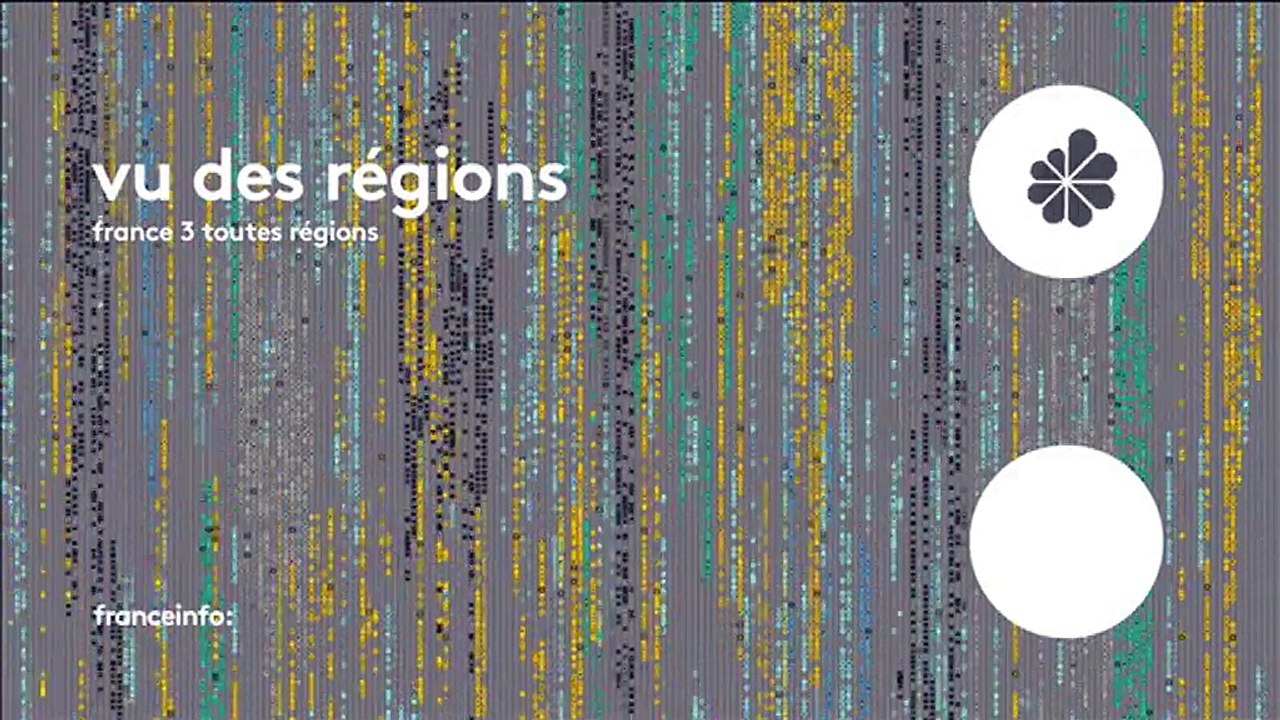 Hauts-de-France : un championnat régional met la voltige équestre à l'honneur