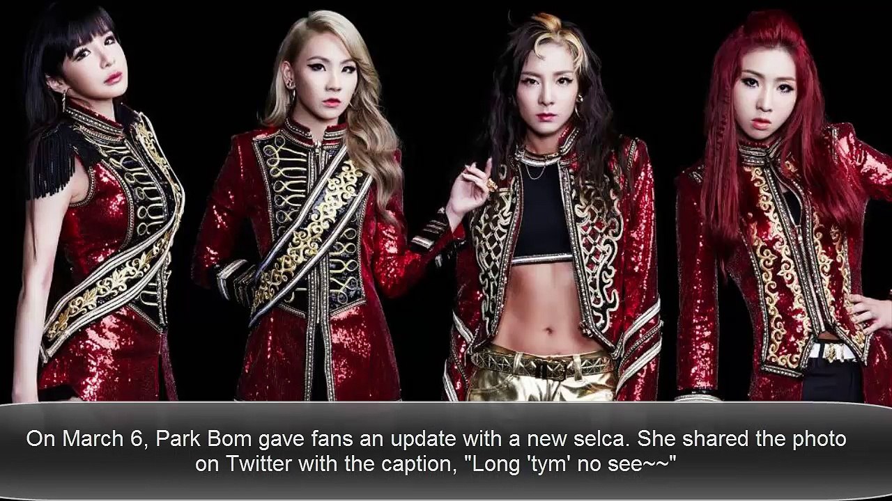 Park Bom gets bombarded with hate comments about her 'plastic face' after uploading a new selca