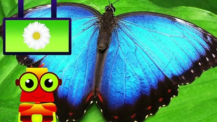 APRENDE CON EDU - LAS ESTACIONES DEL AÑO