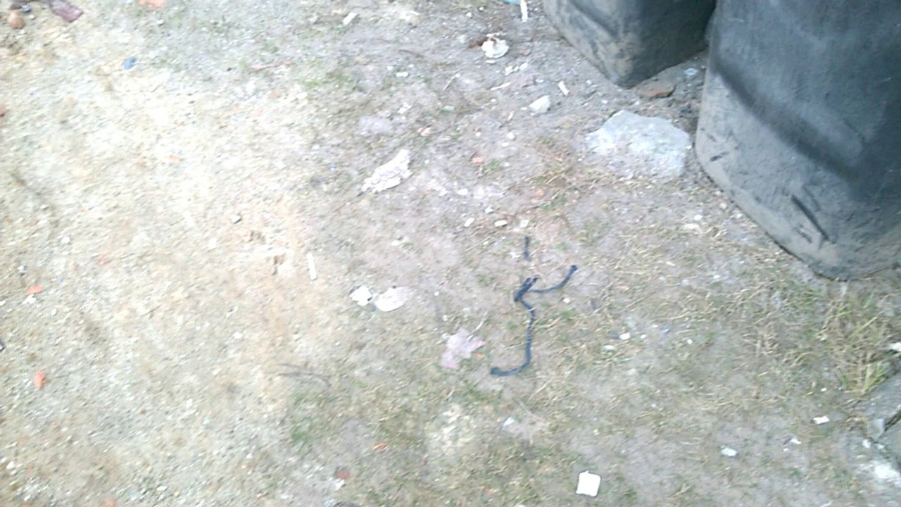 Schöner Wohnen - Oscars Traum