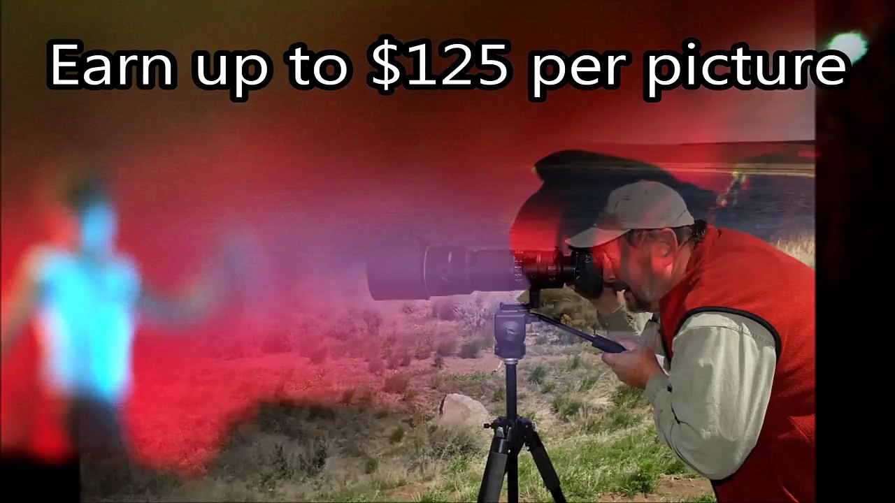 freelance stock photography jobs - starting a photography business - freelance photography jobs