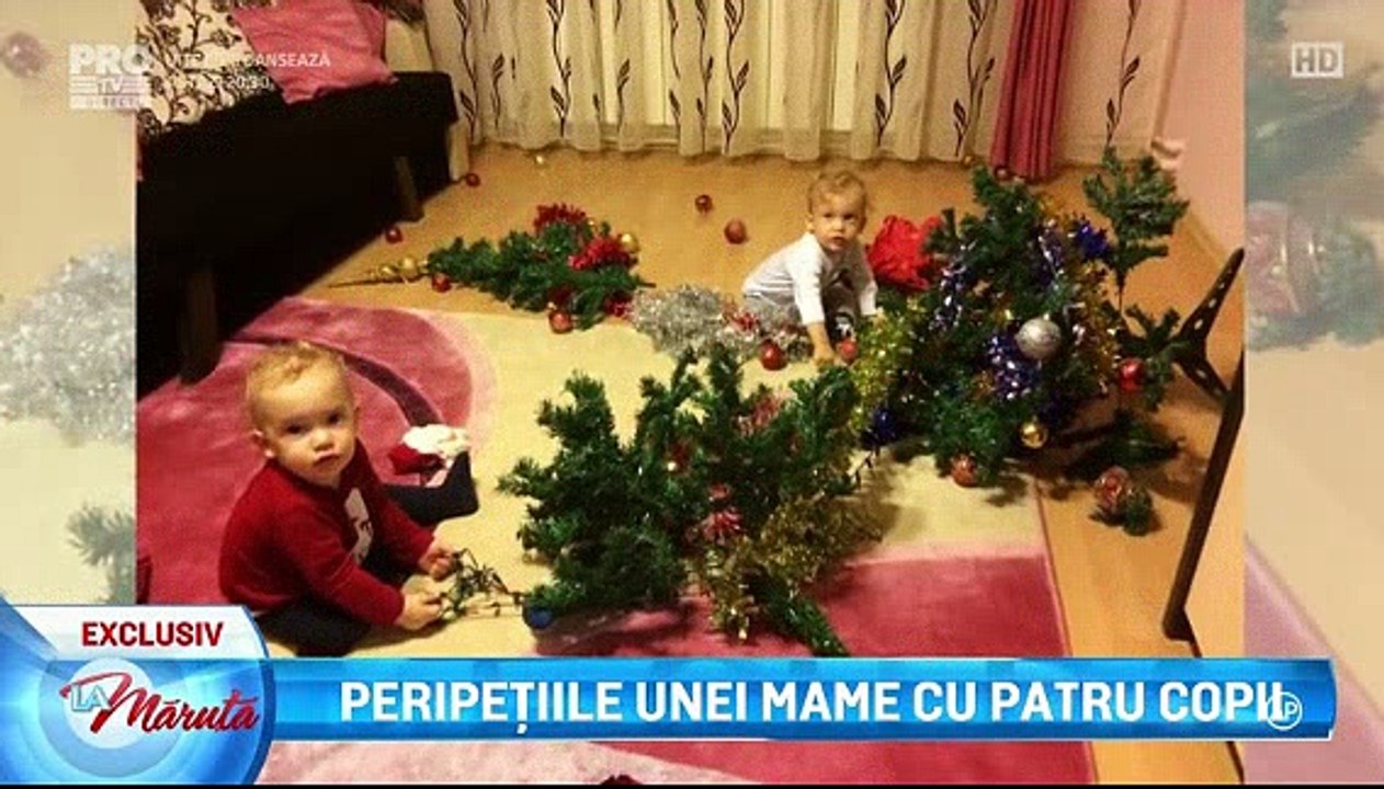13mart maruta