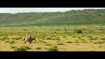 Horses for Kids - Drone HFarm Animals Fun