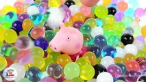 Pig George & Peppa Pig Swimming in Pool Orbeez Learn Colors with Orbeez Magically Grows in