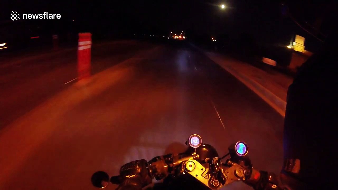 Dog runs in front of motorcycle causing crash