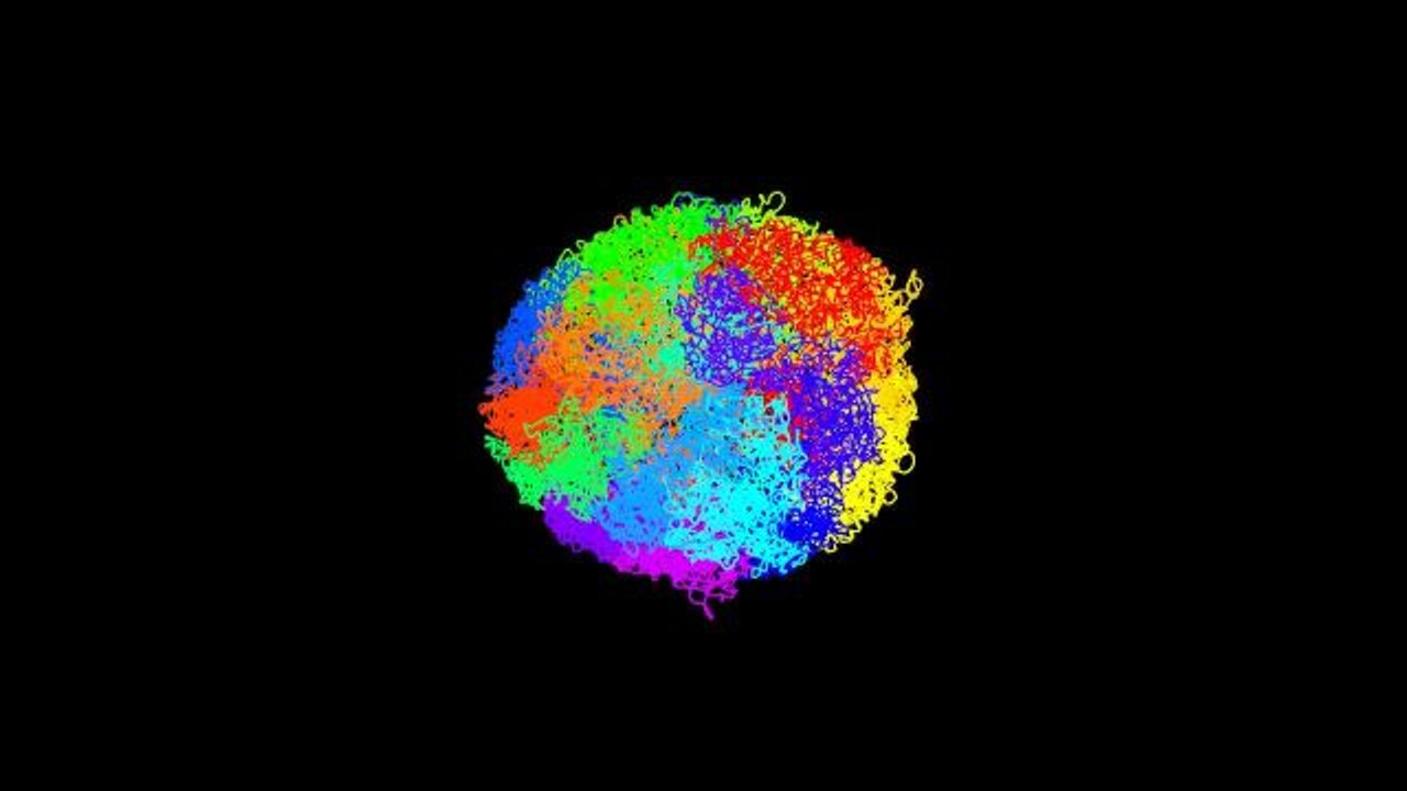 Intact genome from a mouse embryonic stem cell | Ars Technica