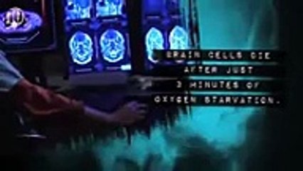 What Happens To Human Body