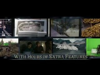Harry Potter et les reliques de la Mort Partie 2 - Blu Ray