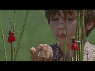 La clé des champs Bande Annonce