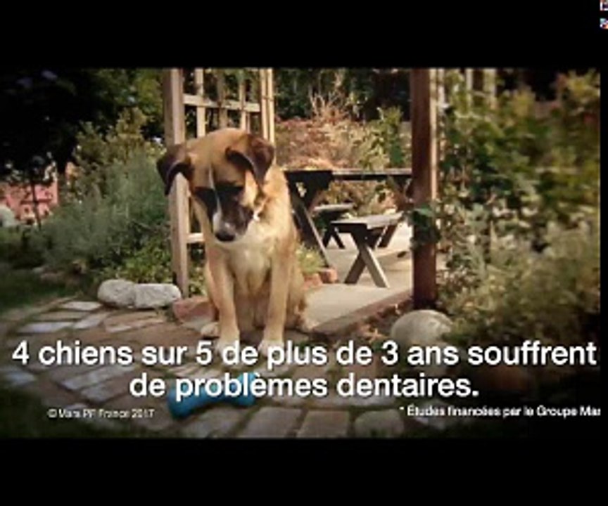 Face Swap avec le train Thomas