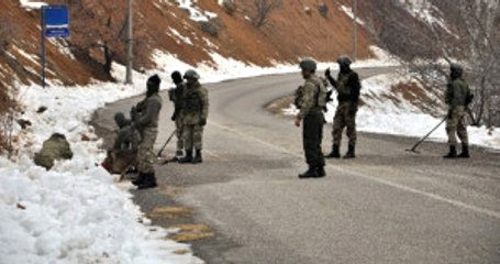 Ailesinin Ulaşamadığı Terörist, Parçalanmış Halde Arazide Bulundu