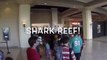 Kid Friendly Las Vegas Mandalay Bay Shark Reef Tour by FamilyToyReview