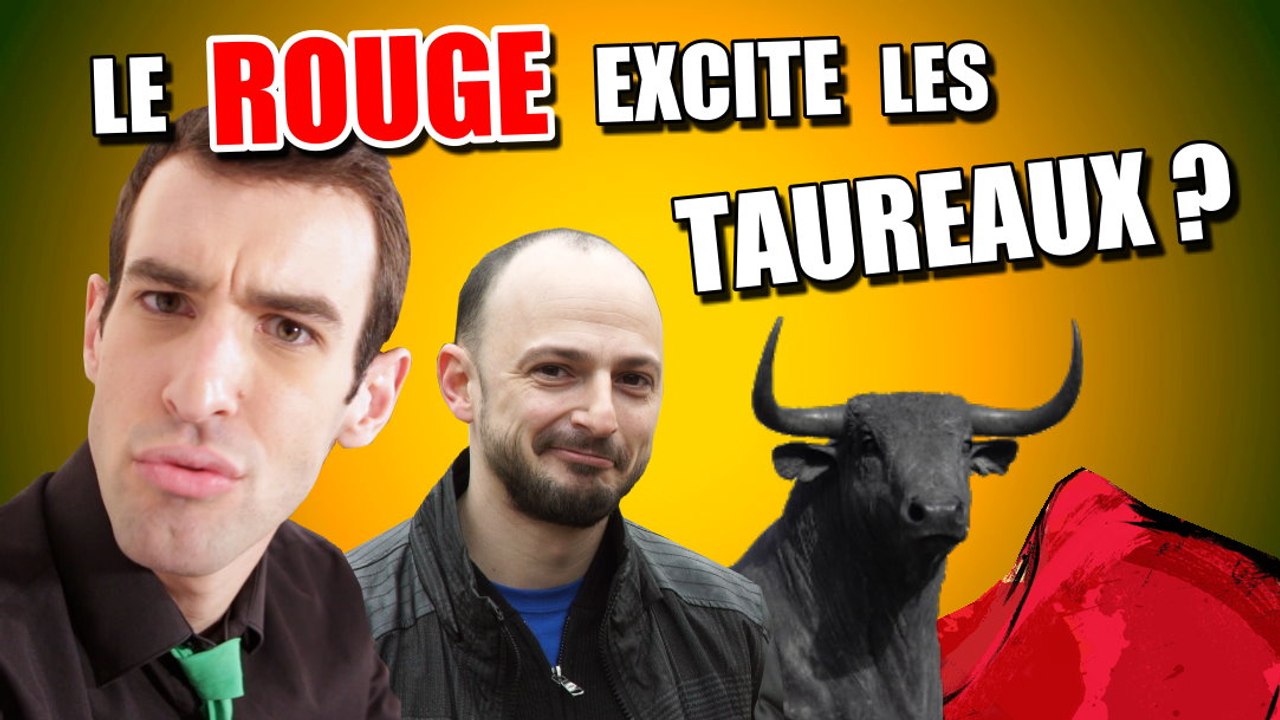IDÉE REÇUE #21 : Le rouge excite les taureaux (feat. Schoumsky)
