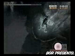 Shadow of the Colossus - PS2