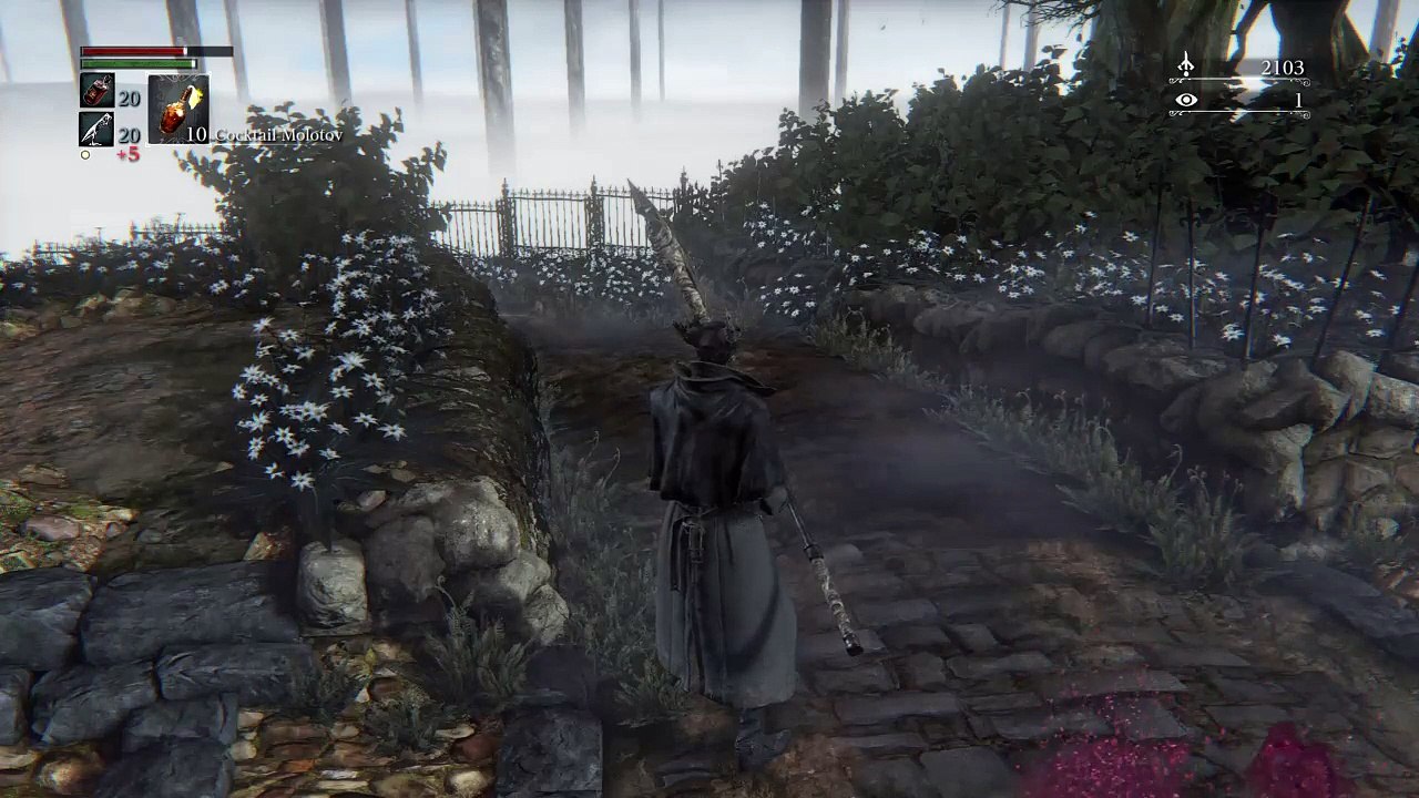 Bloodborne (26)