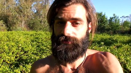 El mito sobre las calorías que los nutricionistas ignoran