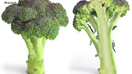 Top 10 Healthy Foods For The Brain 2017