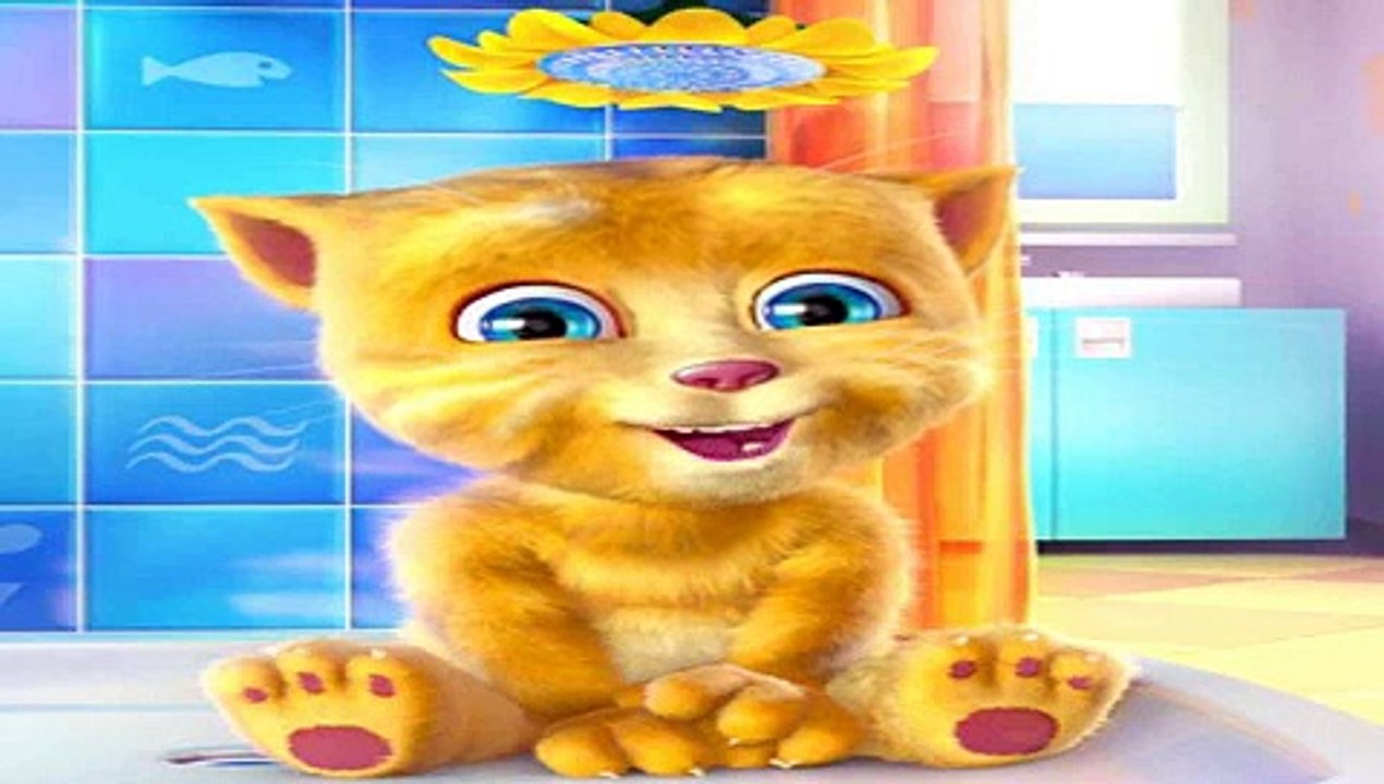 نيو لوك | جنى وأمينة  2017 |  طيور الجنة  أداء القطة الناطقة