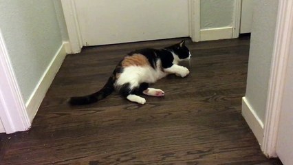 Luna loses her mind over a ball