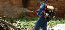 Control vectorial en zonas de Guayaquil para mantener libre de criadero de mosquitos