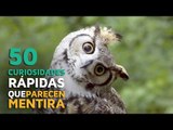 Especial 50k seguidores: 50 curiosidades SORPRENDENTES