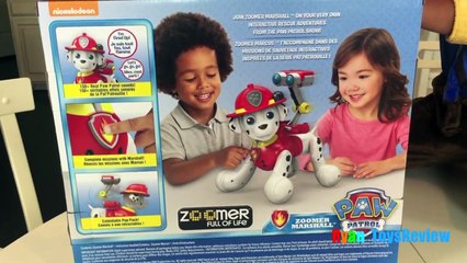 Paw Patrol Zoomer Marshall Interactive Pup Zoomer Kitty Whiskers Toys For Kids