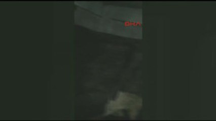 Hollanda Ineği Diplomatik Krize Kurban Gidecek