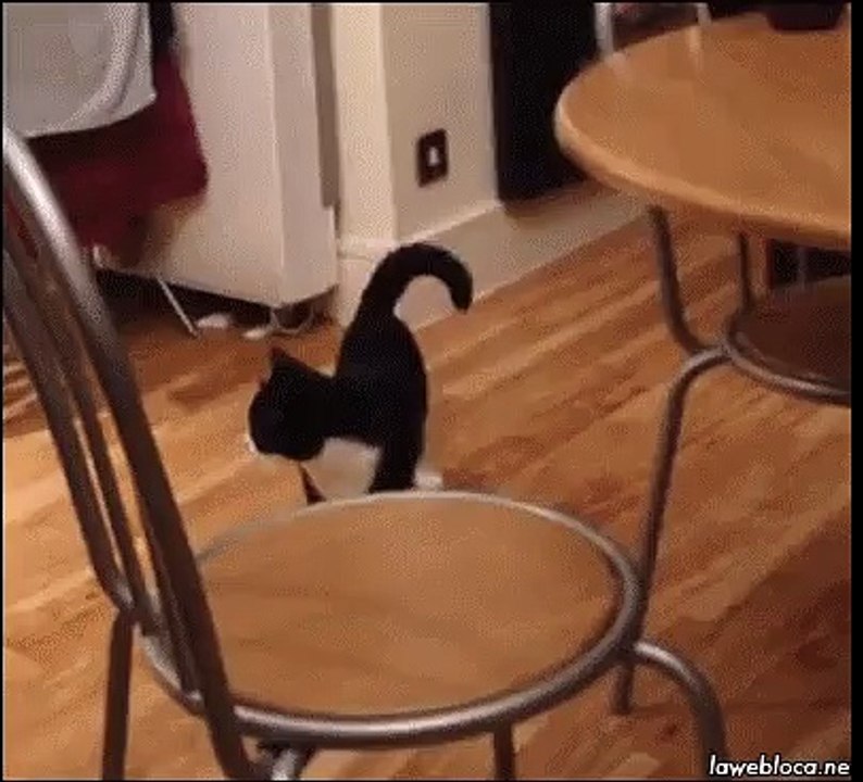 When-the-acid-kicks