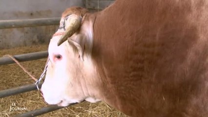 Jim revient du salon avec trois récompenses