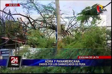 Piura: dos muertos dejó caída de árboles por fuertes lluvias