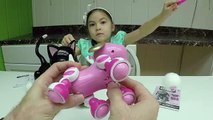 CUTE ZOOMER KITTY & ZUPPIES PUPPY Interactive Pets Pet Puppy Cute Kitten Cat Toy Opening Kids Toys