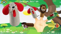 Baby Einstein Puppets Show Finger Family Songs - Daddy Finger Family Nursery Rhymes Lyrics