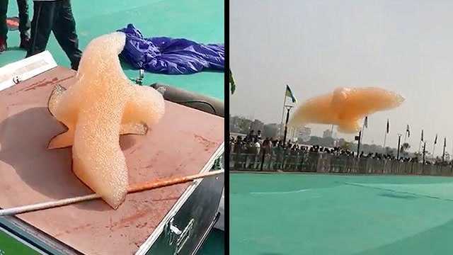 Foam Kites Fill The Sky At Festival