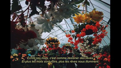 Lonepsi - Des rêves inexaucés