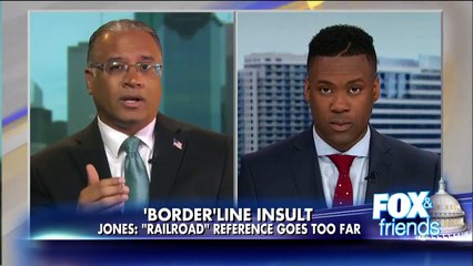 Black conservative SLAMS incredibly INSULTING Illegal alien ‘underground railroad’
