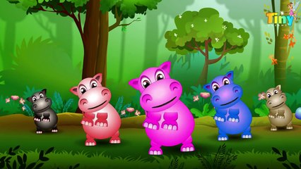 Five Little Hippos Jumping on the Bed - Nursery Rhyme for Babies