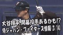 日本ハム 大谷翔平 開幕投手あるかも!? 2017.3.14 侍ジャパン・ファイターズ情報 プロ野球