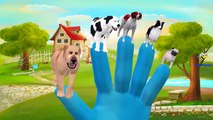 Funny Dogs Cats Finger Family Nursery Rhymes | Funny Little Babies Colors Cats Finger Fami