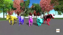 Wild animals 3d animation Rhymes Finger family - Colors dinosaurs Finger family rhymes for