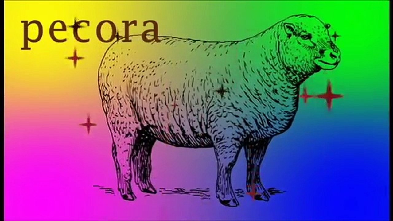 animal el sonido de las canciones para niños | aprende los animales | vivero los niños rimas colección de videos de como conta